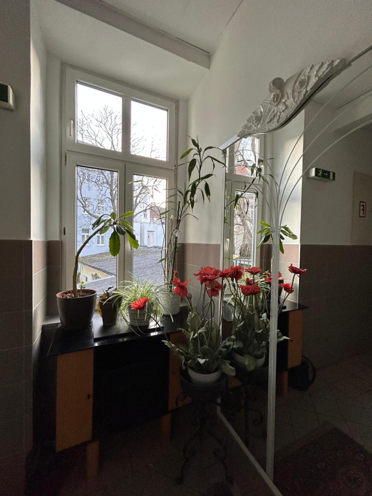 Reiner 11 * Wien